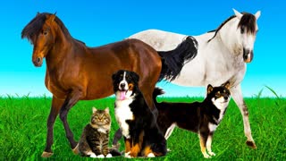 ЗВУКИ ЖИВОТНЫХ для самых маленьких- развивающие мультики для детей - как говорят животные