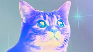 ВОТ ТАК НАДО ТАЩИТЬ! ► PUSS! #8