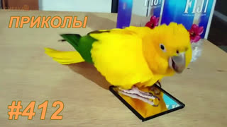 Приколы май 2019 №412