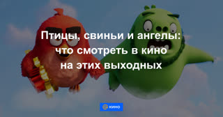 Птицы, свиньи и ангелы: что смотреть в кино на этих выходных