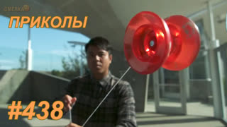 Приколы июнь 2019 №438