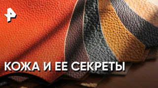 «Как устроен мир»: кожа и ее секреты